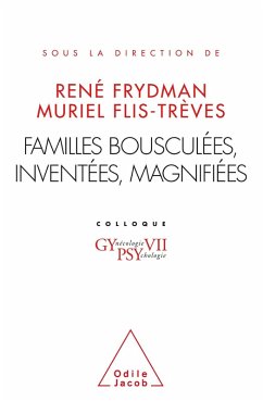 Cover Familles bousculees, inventees, magnifiees (eBook, ePUB)