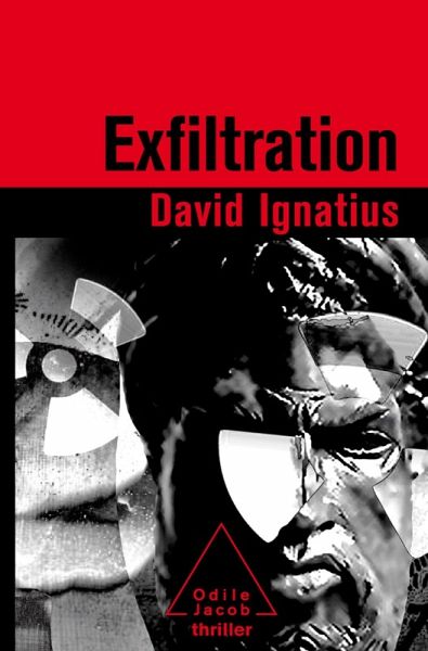 Exfiltration (eBook, ePUB)