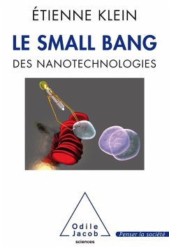 Le Small Bang (eBook, ePUB) - Etienne Klein, Klein