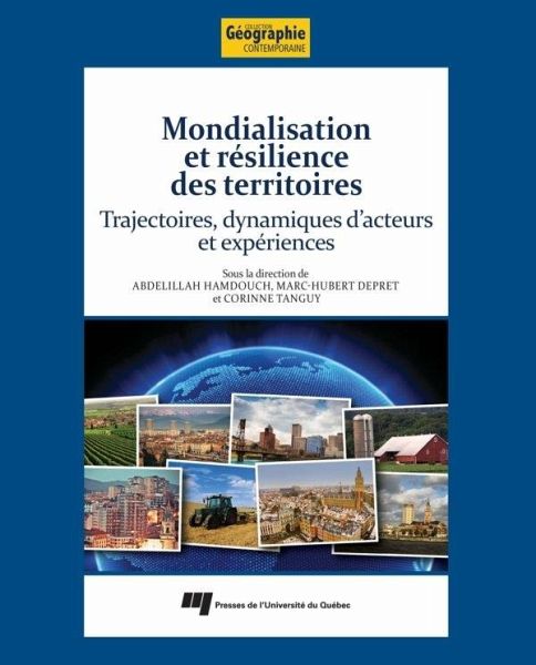 Mondialisation et resilience des territoires (eBook, ePUB)