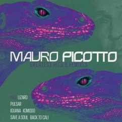 Greatest Hits & Remixes - Picotto,Mauro