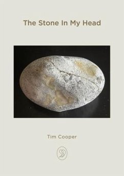 The Stone In My Head (eBook, ePUB) - Cooper, Tim