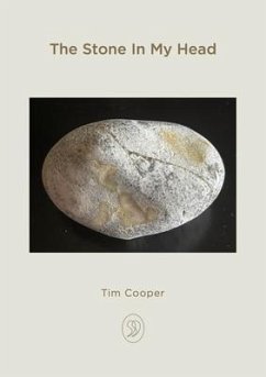 Cover The Stone In My Head (eBook, ePUB)