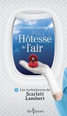L'Hotesse de l'air, tome 3 (eBook, ePUB)