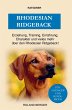 Rhodesian Ridgeback - Bild 1