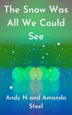 Cover The Snow Was All We Could See (eBook, ePUB)
