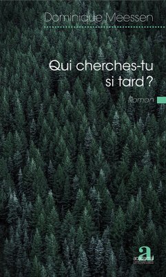 Cover Qui cherches-tu si tard ? (eBook, ePUB)