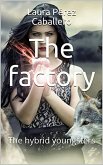 The Factory: The Hybrid Youngsters (eBook, ePUB)
