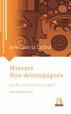 Mineurs Non-Accompagnes (eBook, ePUB)