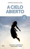 A cielo abierto (eBook, ePUB)