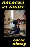 BOLOGNA AT NIGHT (eBook, ePUB)