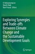 Exploring Synergies and Trade-offs... - Bild 1
