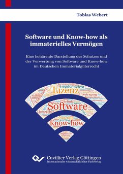 Software und Know-how als immaterielles Vermögen - Webert, Tobias