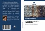 Mehrsprachigkeit in Ontologien