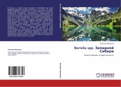 Borrelia spp. Zapadnoj Sibiri - Fomenko, Nataliq