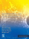 Biodegradation and Biodeterioration at the Nanoscale (eBook, ePUB)