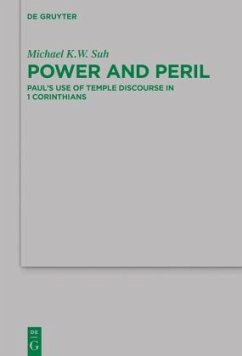 Power and Peril - Suh, Michael K.W.