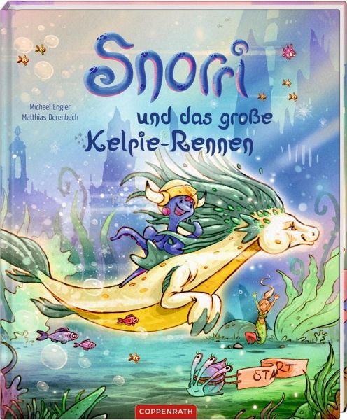 Buch-Reihe Snorri