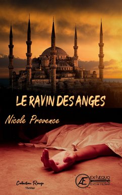 Le ravin des anges (eBook, ePUB) - Provence, Nicole