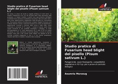 Studio pratico di Fusarium head blight del pisello (Pisum sativum L.) - Merzoug, Aoumria