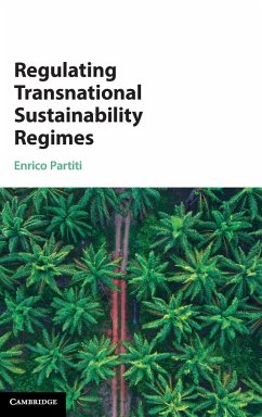 Regulating Transnational Sustainability Regimes - Partiti, Enrico