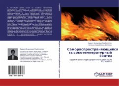 Samorasprostranqüschijsq wysokotemperaturnyj sintez - Podbolotow, Kirill Borisowich; Dqtlowa, Ewgeniq Mihajlowna