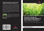 Practical study of Fusarium head blight of Pea (Pisum sativum L.)