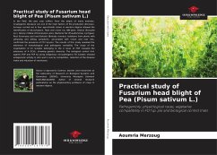 Practical study of Fusarium head blight of Pea (Pisum sativum L.) - Merzoug, Aoumria