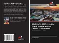 SENSIBILITÀ GEOMECCANICA PER LA STABILITÀ DELLE CAMERE SOTTERRANEE - Ngoie, Sage