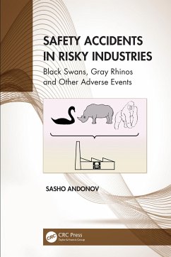 Safety Accidents in Risky Industries - Andonov, Sasho (Aviation Consultant)