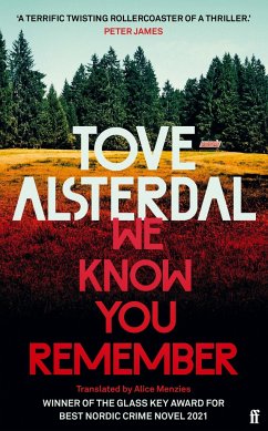 We Know You Remember - Alsterdal, Tove