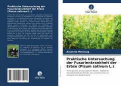 Praktische Untersuchung der Fusarienkrankheit der Erbse (Pisum sativum L.) - Merzoug, Aoumria