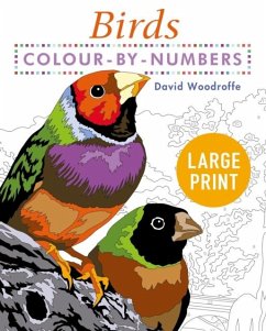Cover Large Print Colour by Numbers Birds