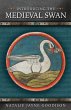Introducing the Medieval Swan - Bild 1
