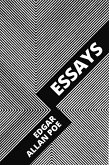 Essays (eBook, ePUB)