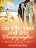 Ein Whirlpool und drei Champagnergläser - Erotische Novelle (eBook, ePUB)