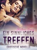 Ein sinnliches Treffen - Erotische Novelle (eBook, ePUB)