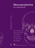 Neuroanatomía en esquemas (eBook, PDF)