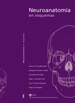 Neuroanatomía en esquemas (eBook, PDF) - de Baña, María los Ángeles; di Diego, Juan Manuel; Tecerrán, Santiago R. Bovalina; Tizón, Diego J. González; Valmaggia, Jorge G.