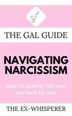 The Gal Guide to Navigating Narcissism (eBook, ePUB)