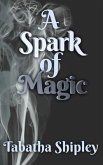 A Spark of Magic (eBook, ePUB)
