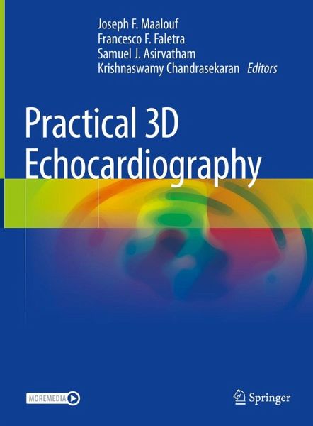 Practical 3D Echocardiography (eBook, PDF)