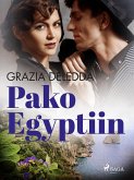 Pako Egyptiin (eBook, ePUB)