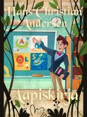 Aapiskirja (eBook, ePUB)