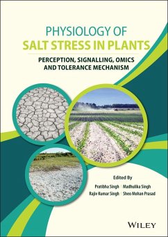 Cover Physiology of Salt Stress in Plants (eBook, PDF)