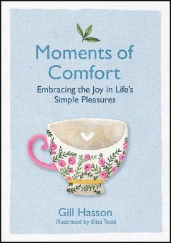 Moments of Comfort (eBook, PDF) - Hasson, Gill