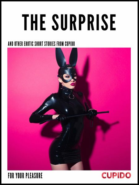 The Surprise - and other erotic short stories (eBook, ePUB)