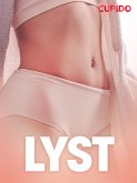 Lyst – erotiske noveller (eBook, ePUB)