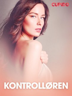 Cover Kontrolløren - erotiske noveller (eBook, ePUB)