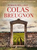 Colas Breugnon (eBook, ePUB)